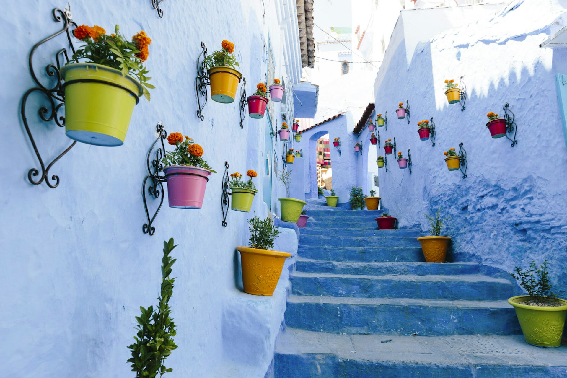 A blue staircase in the medina of Chefchaouen lined with colourful flower pots. The staircase leads up to several houses. Image by Christine Wehrmeier / Getty Images