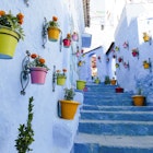 Features - Blue staircase &amp; colourful flowerpots, Chefchaouen