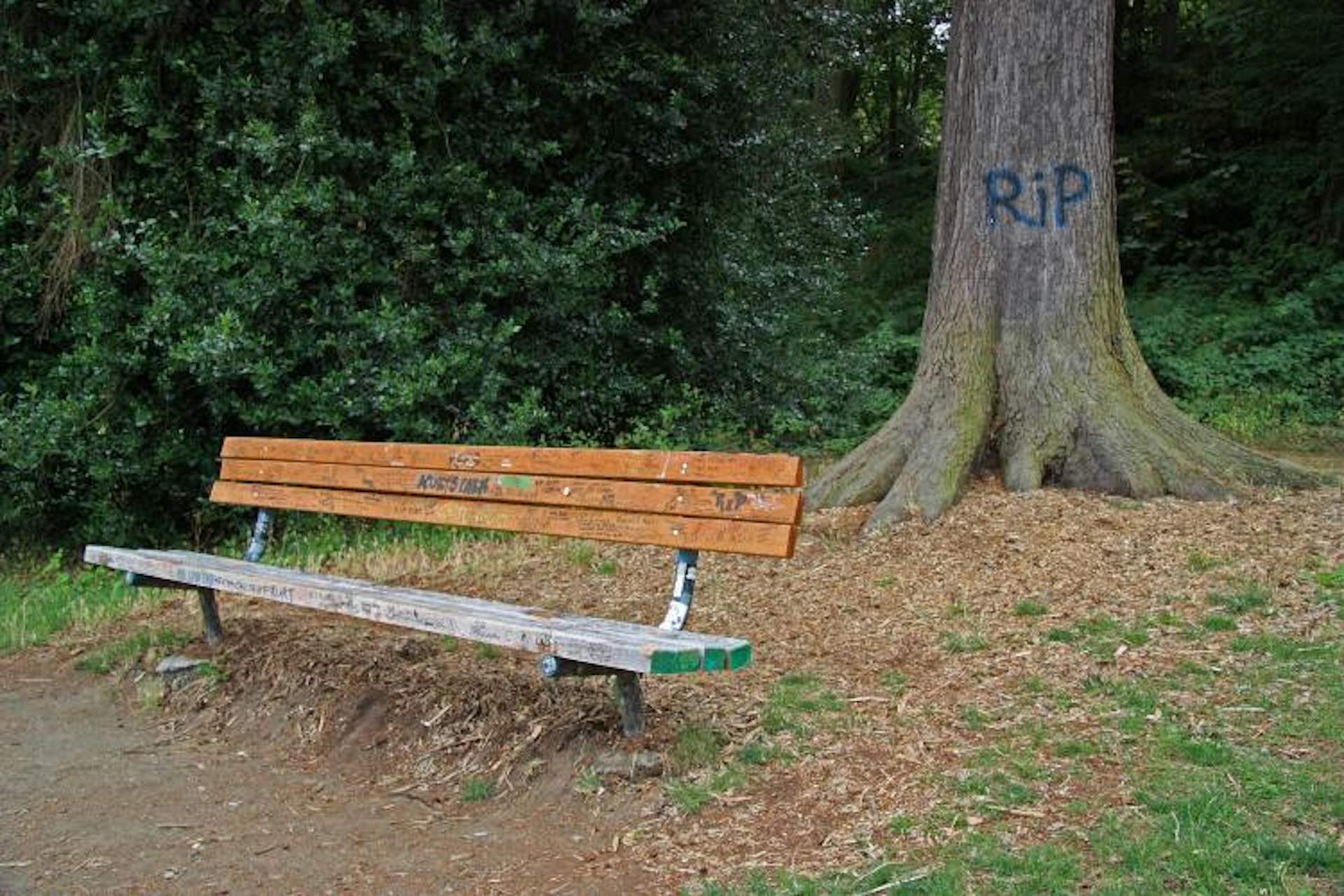 Tributes in marker pen on a bench in Viretta Park. Image by Sean O'Neill / CC BY-NC-ND 2.0