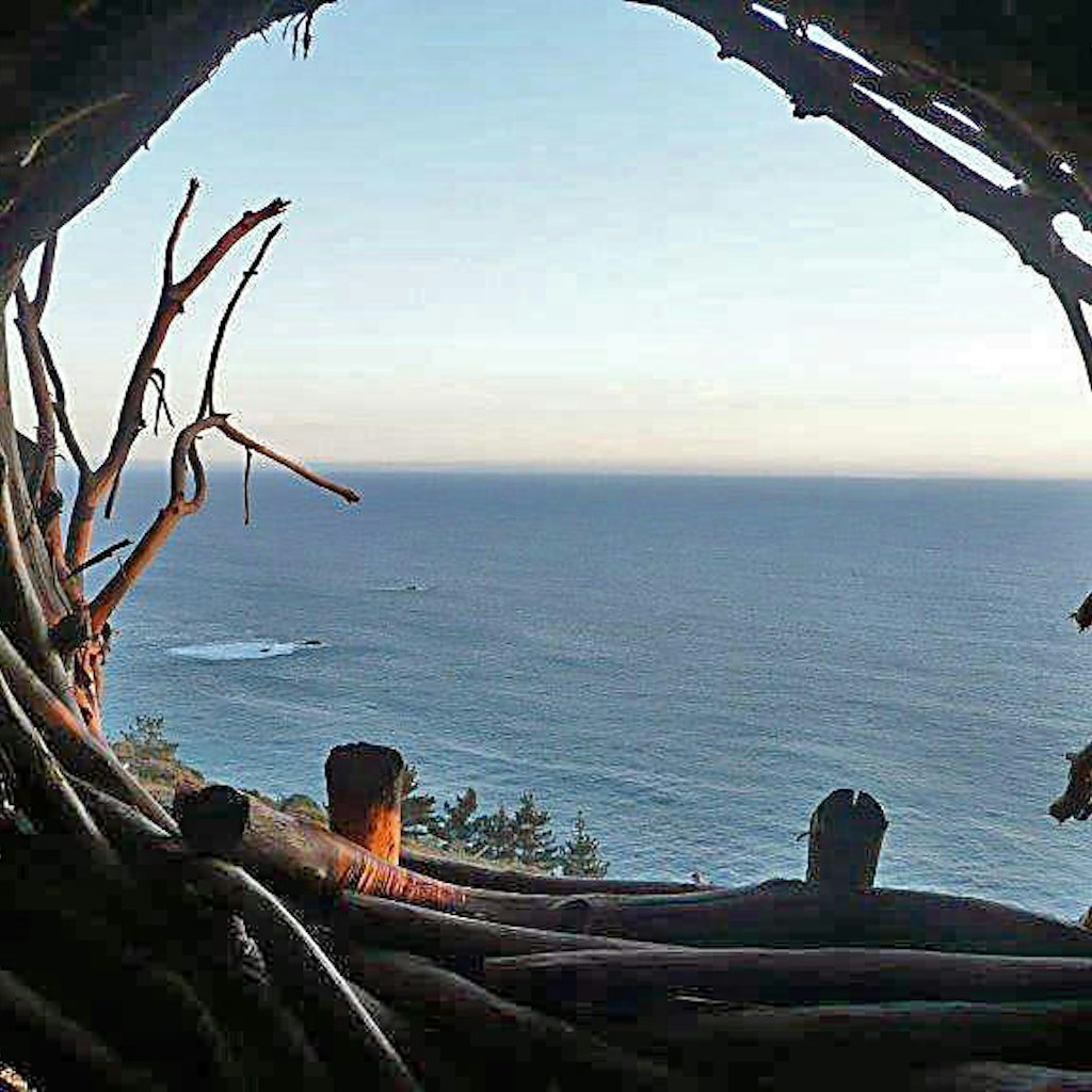 view from a nest-like sleeping spot in Big Sur