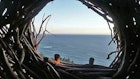 view from a nest-like sleeping spot in Big Sur