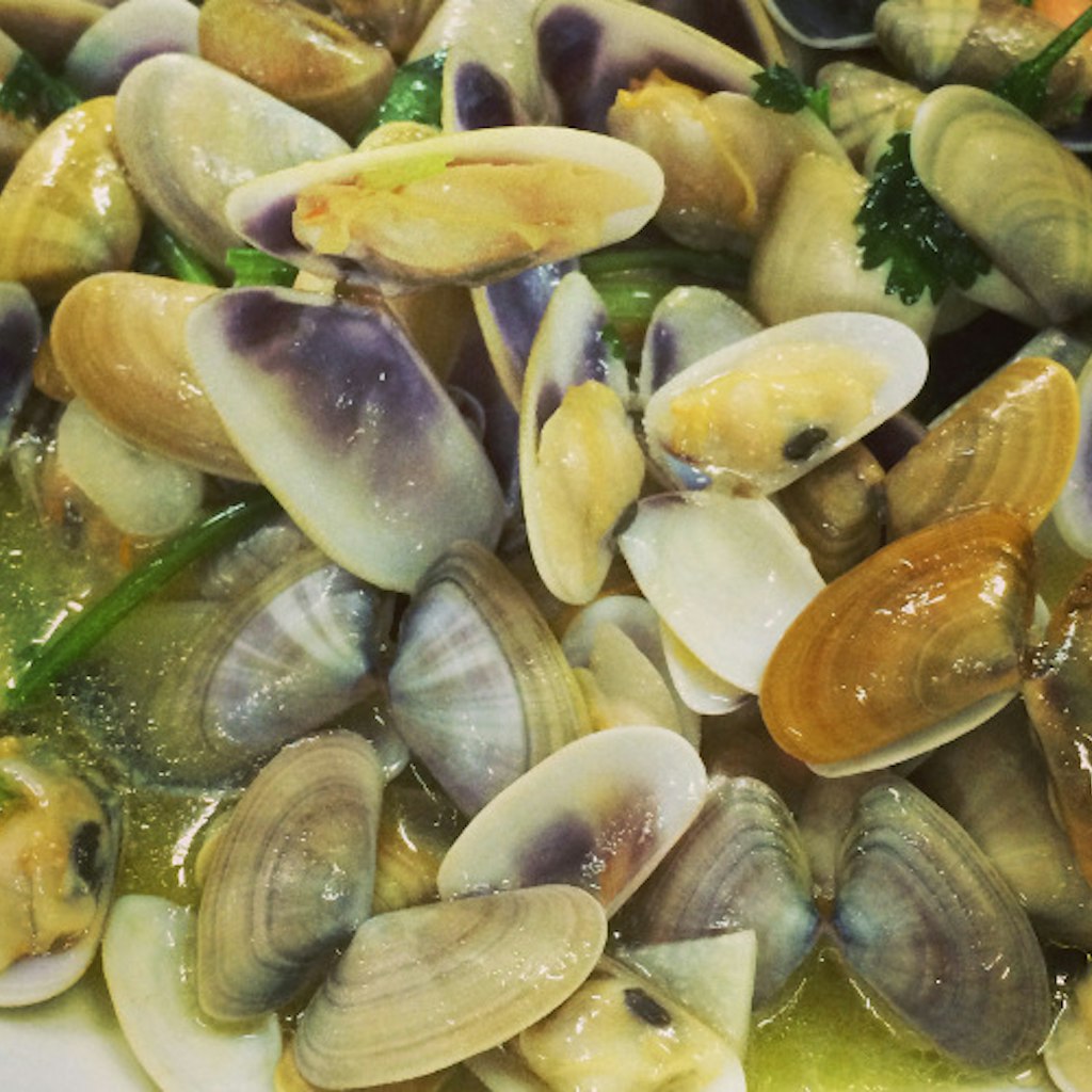 Features - clams at Tico Tico