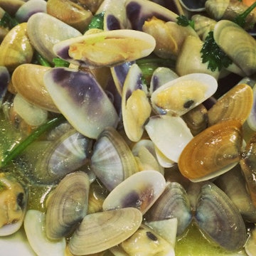 Features - clams at Tico Tico