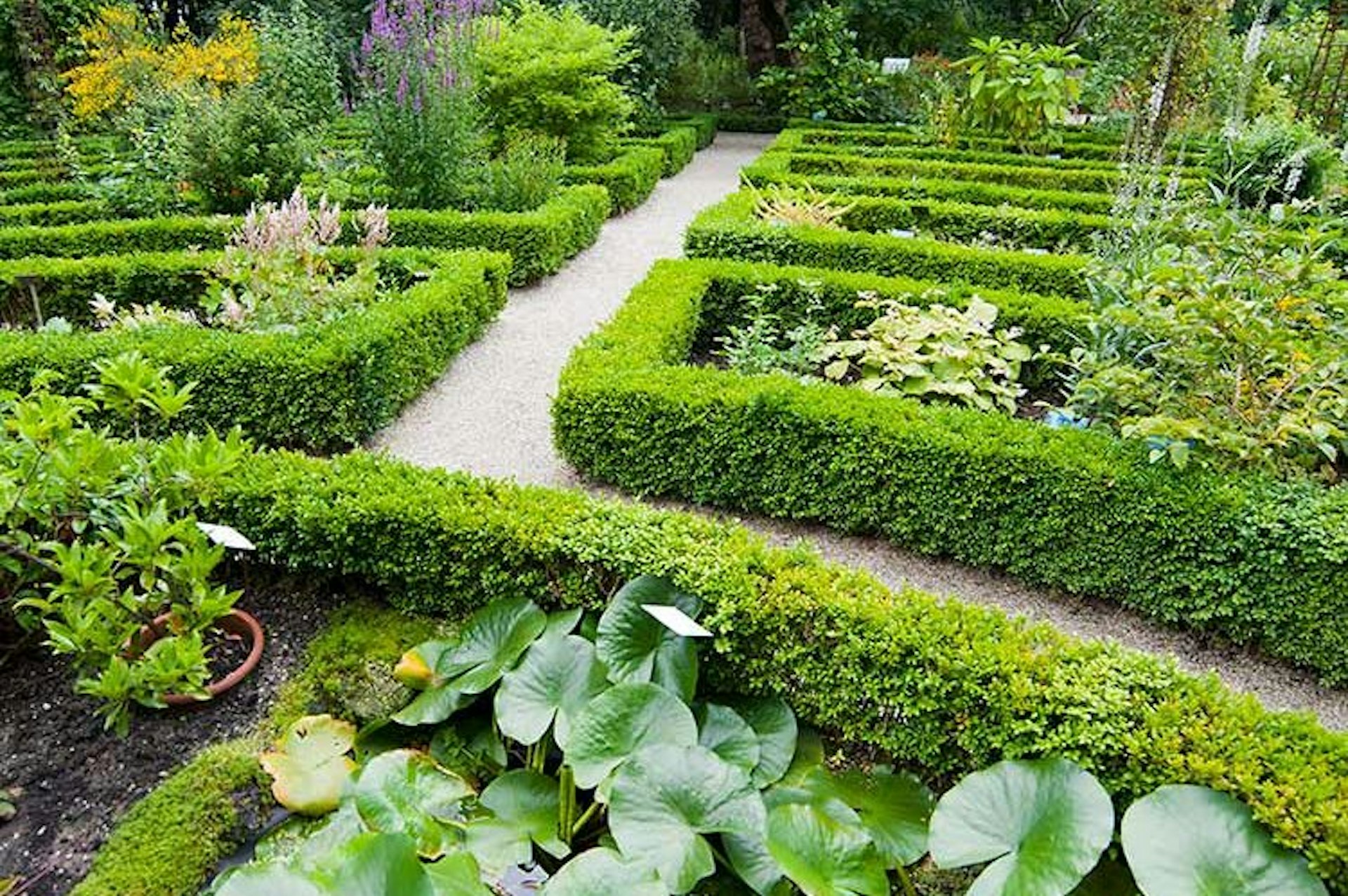 Immaculately tended shrubbery in Amsterdam's serene and green Hortus Botanicus. Image by Karen Massier / E+ / Getty Images.