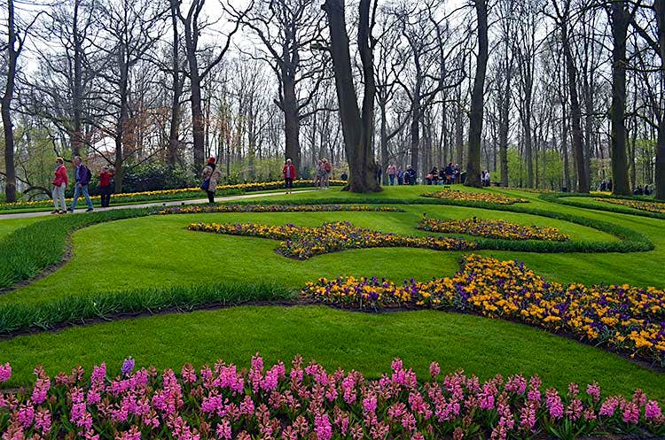 Tiptoe Through The Tulips How To Experience Amsterdam In Bloom