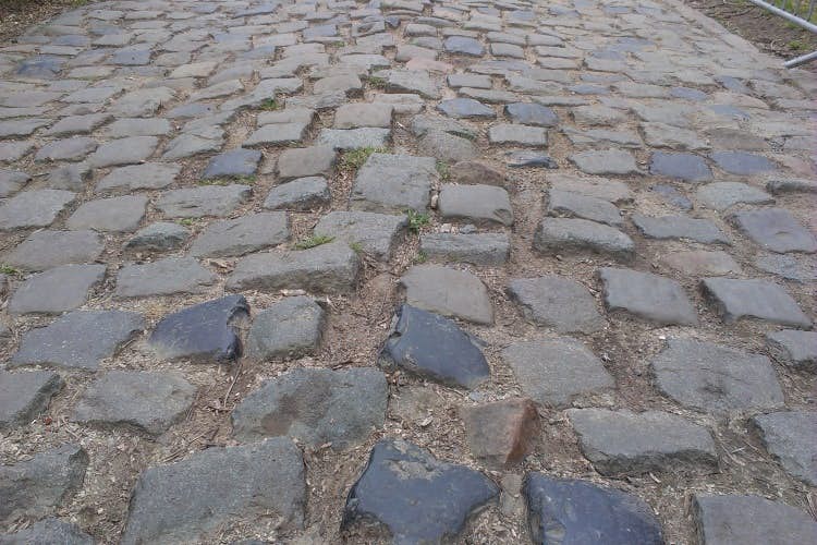 flanders cobbles