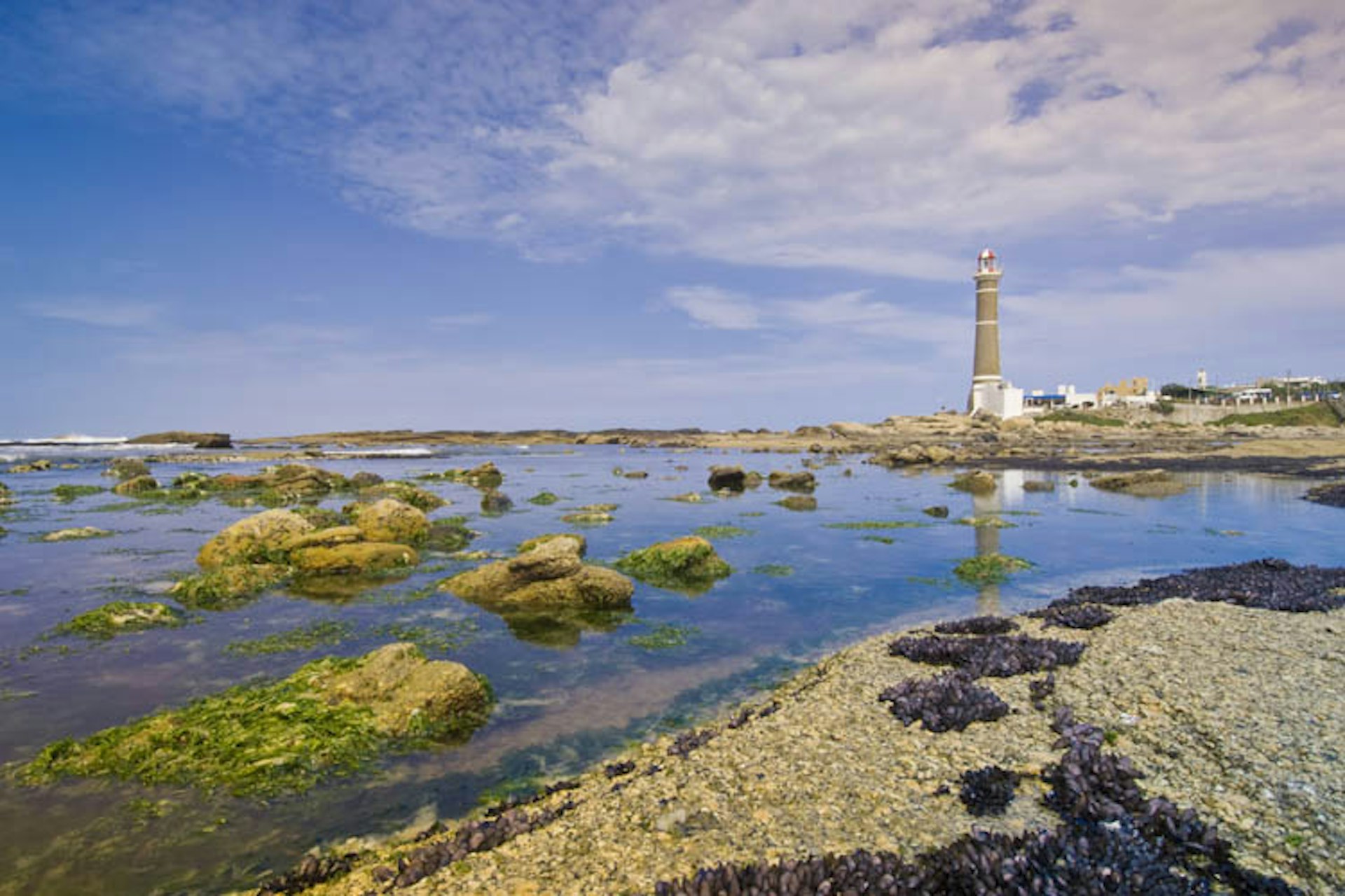 Algea-covered rocks emerge from the surface of glassy blue-green water, and a distant lighthouse juts out over the sea in Cabo Polonio, Uruguay