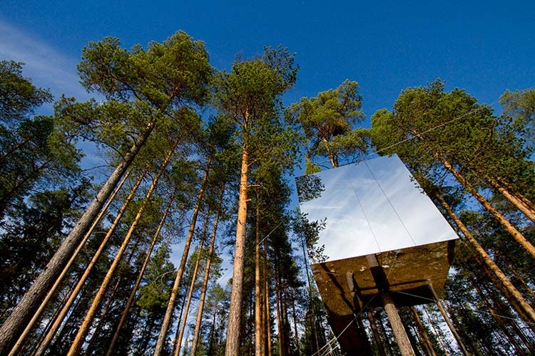 Tree-house-Sweden