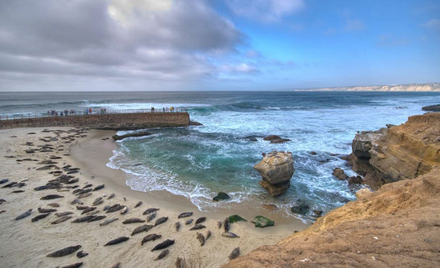 Sun, seals and sand in La Jolla. Image by Łukasz Lech / CC BY-SA 2.0