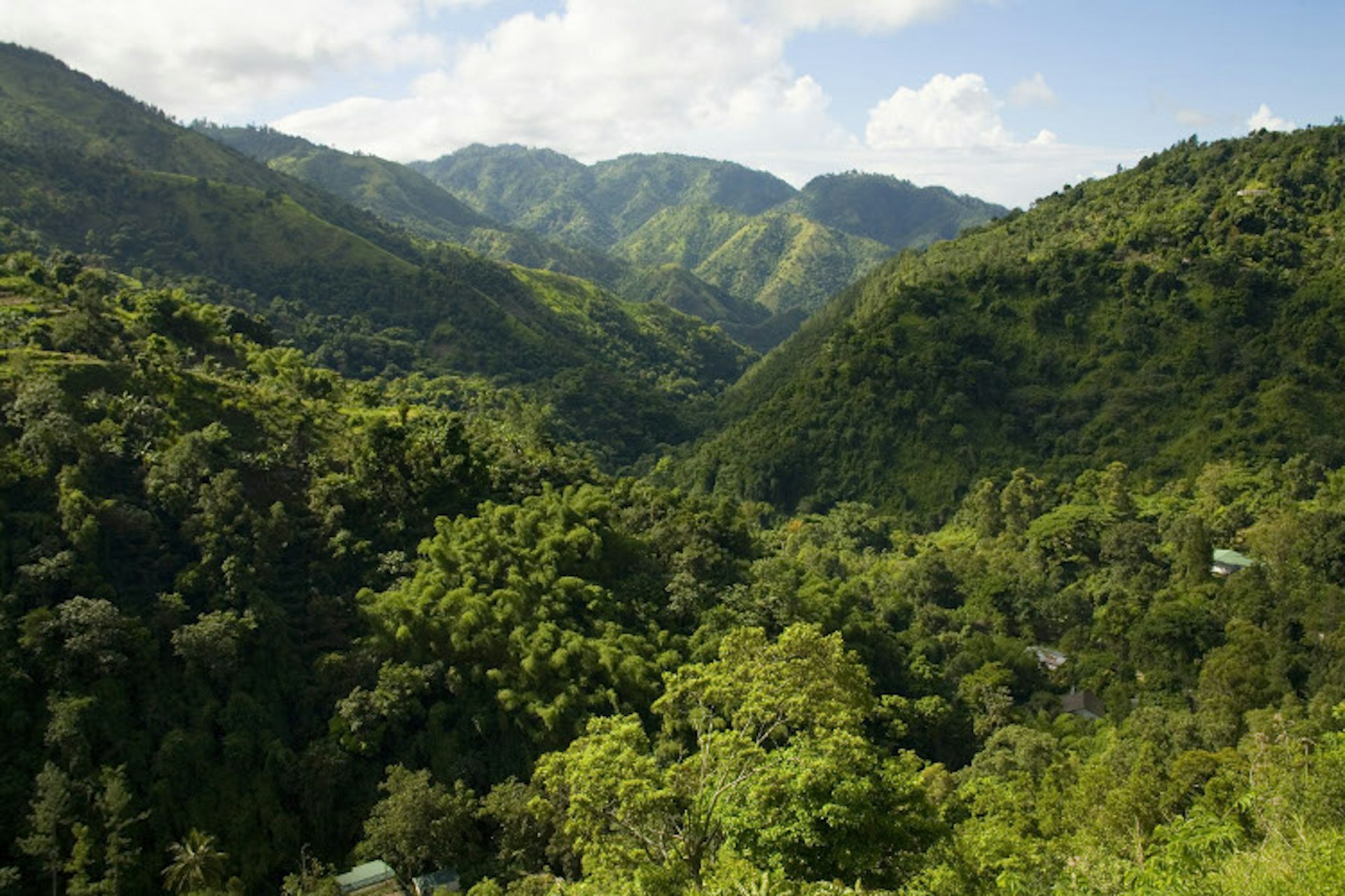 Blue Mountains, Jamaica. Image by Jamaica Tourism Board