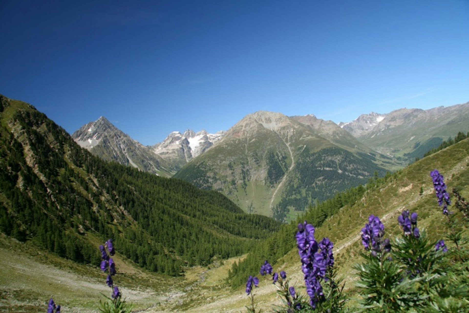 Stunning mountain views in the Swiss National Park