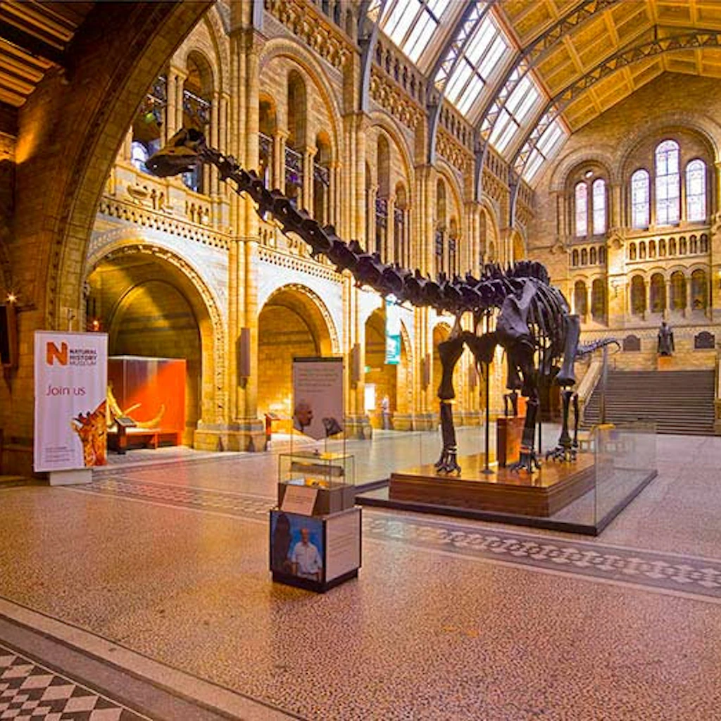 15 free things to do in Lyon, France - Lonely Planet