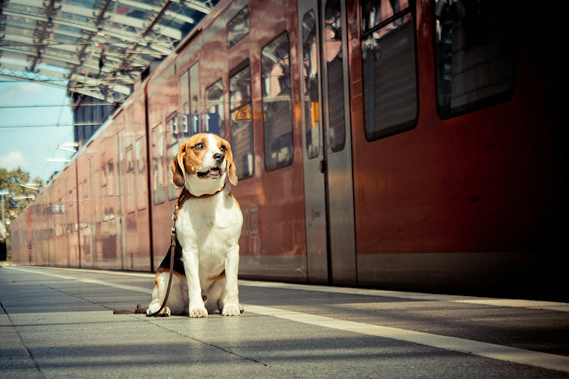 Leave him in a happy place - in this case, the station platform. Image by Benita Hartmann / Moment / Getty Images
