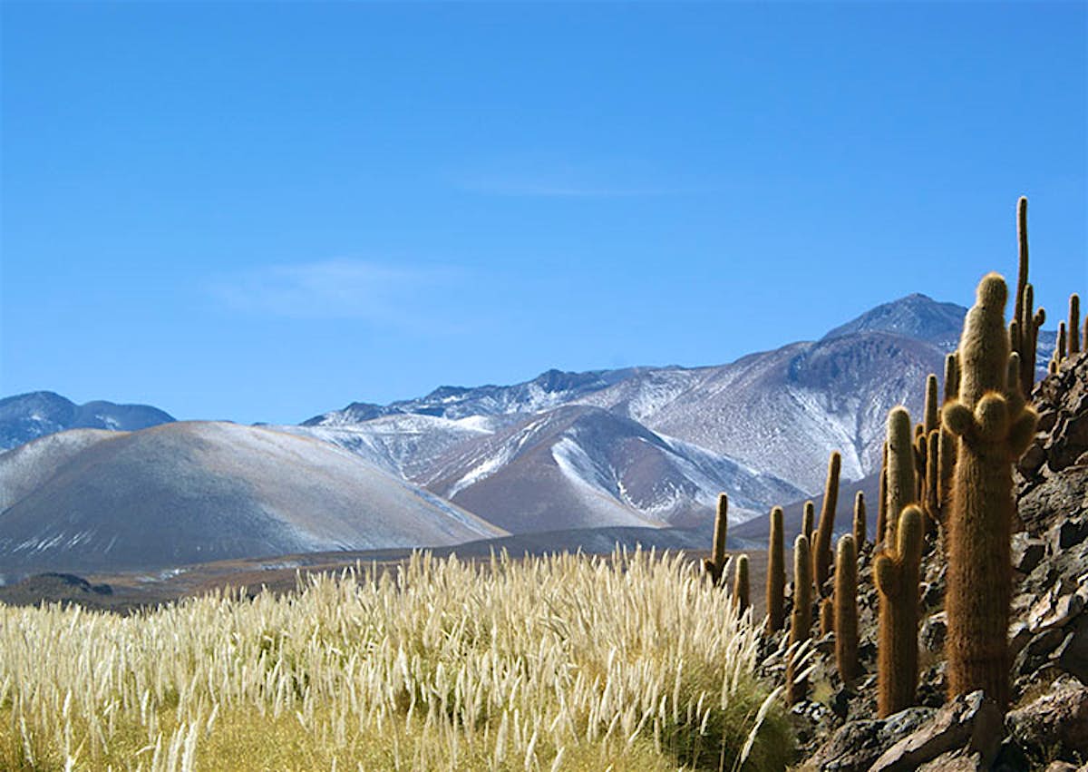 Adventures In The Atacama Desert Top Experiences In Northern