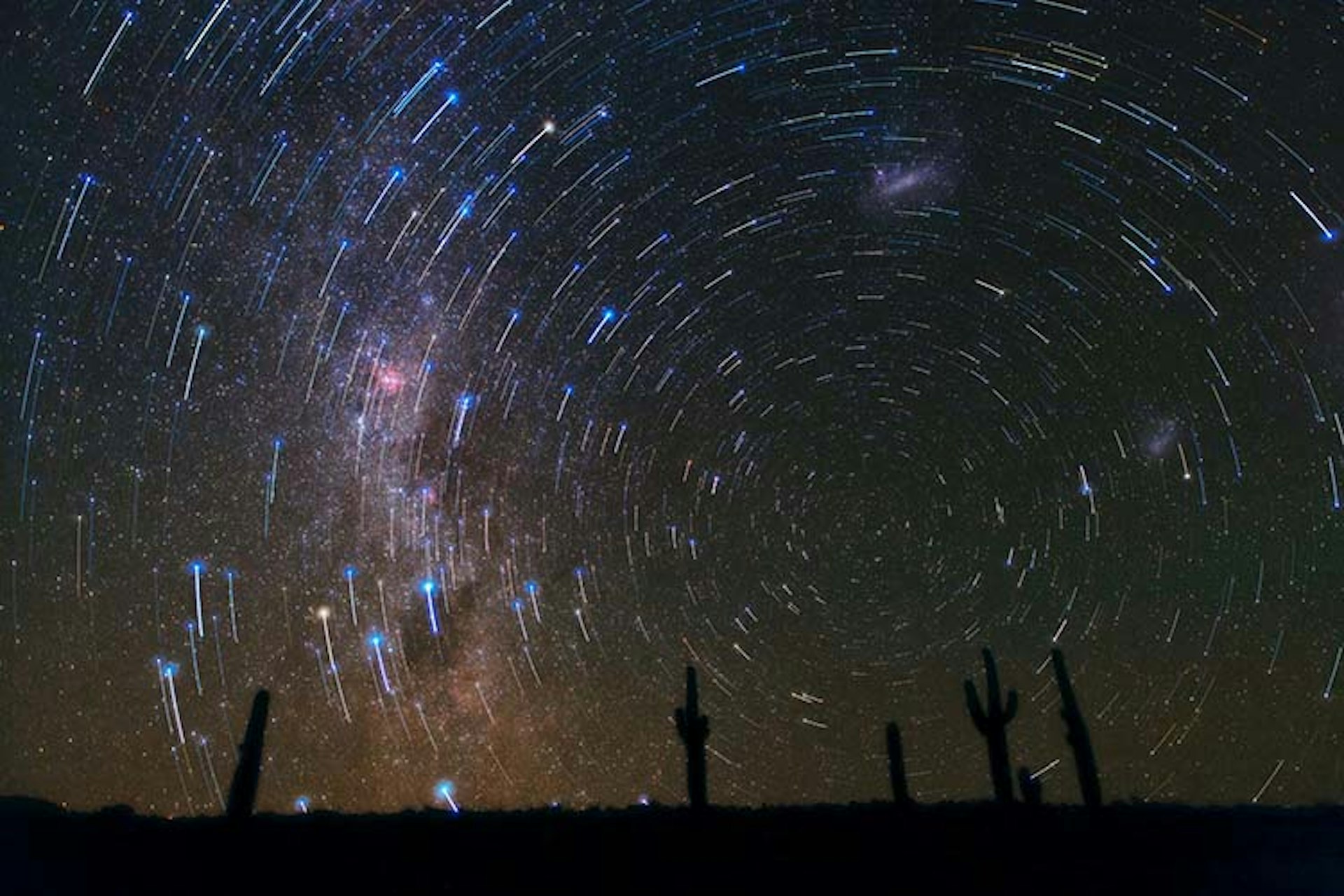 Features - Star Trails over Atacama Desert Cacti