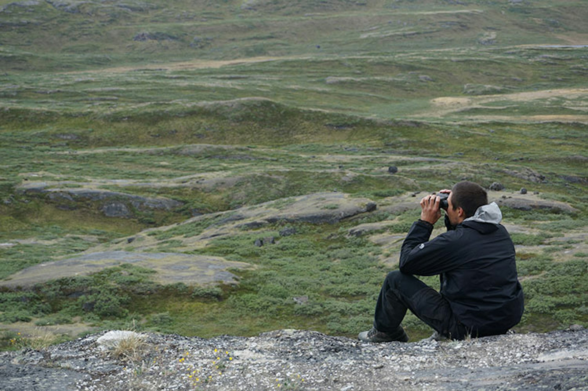 Wilderness guide Jens-Pavis Brandt scours the landscape for the elusive muskox. Image by Anita Isalska / Lonely Planet