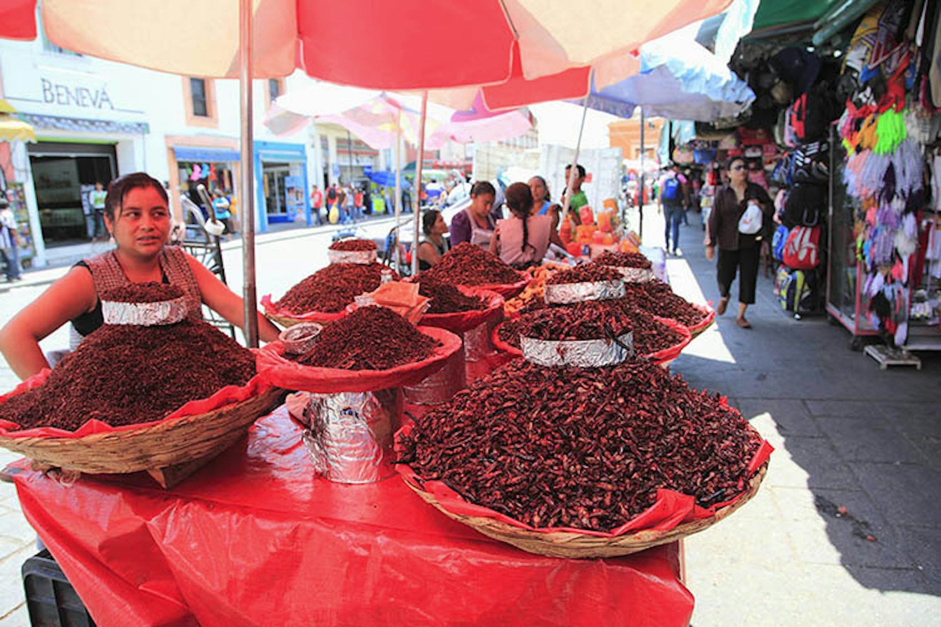 Like popcorn with legs, who could resist? Chapulines on sale in Oaxaca, Mexico. Image by Wendy Connett / Robert Harding World Imagery / Getty Images