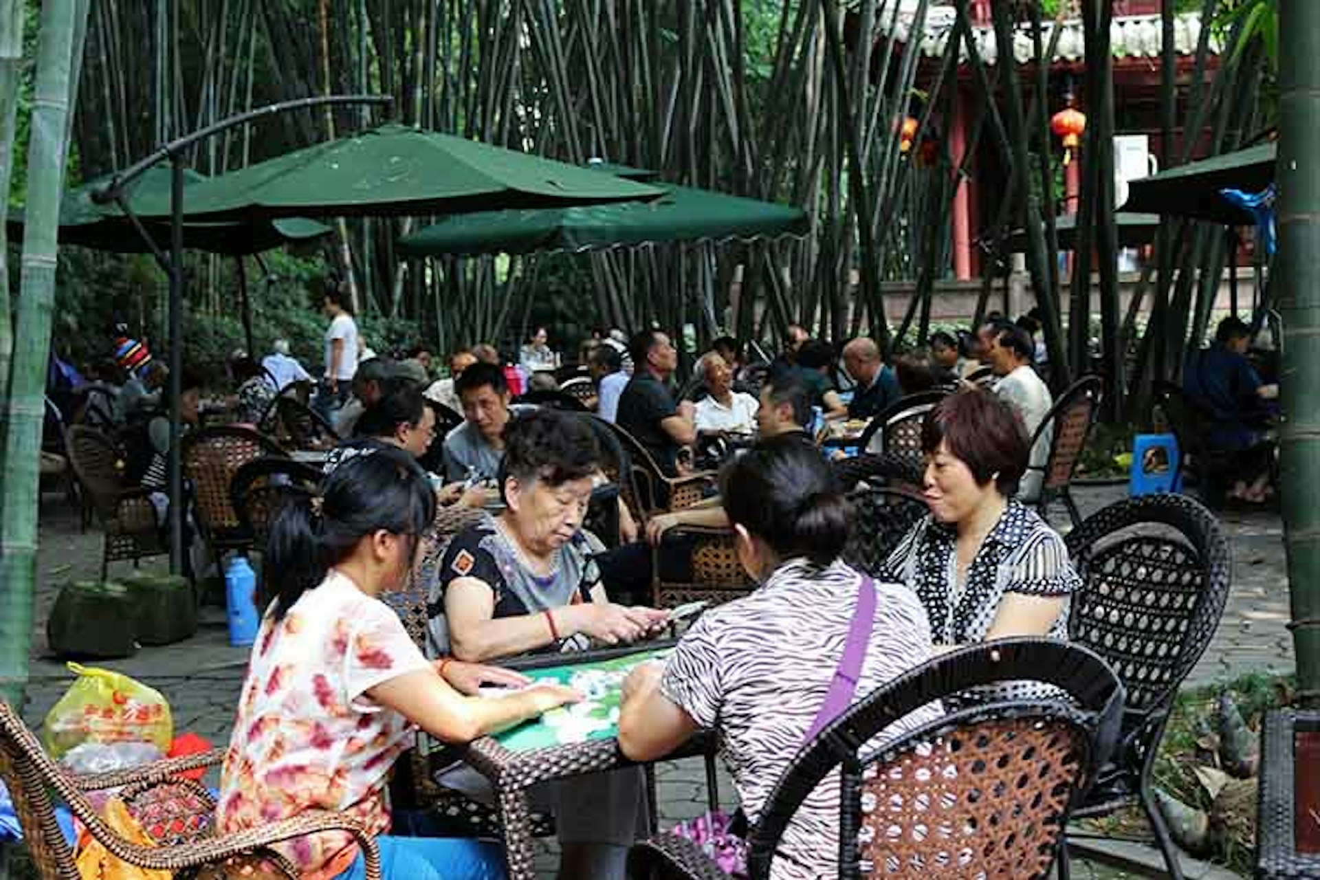 Tea drinkers in Chengdu's Cultural Park. Image by Qin Xie / Lonely Planet