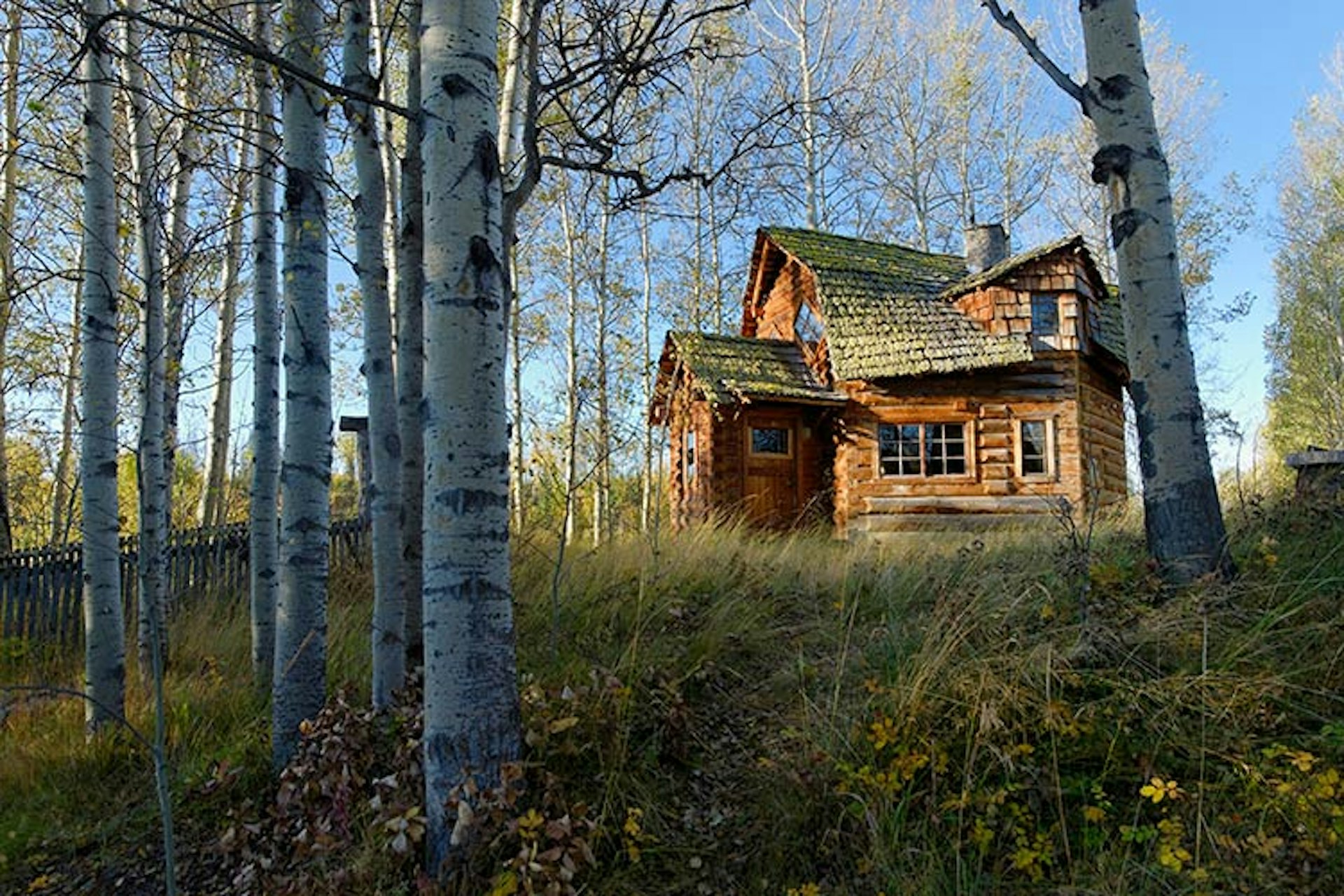 Could you cope with the long-term isolation in your cabin in the woods? Michael Wheatley / All Canada Photos / Getty Images