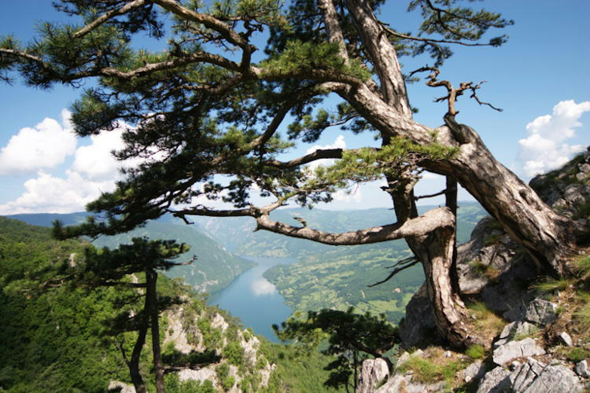 Drina river, Tara National Park. Image by Branko Jovanović / Courtesy of National Tourism Organisation of Serbia