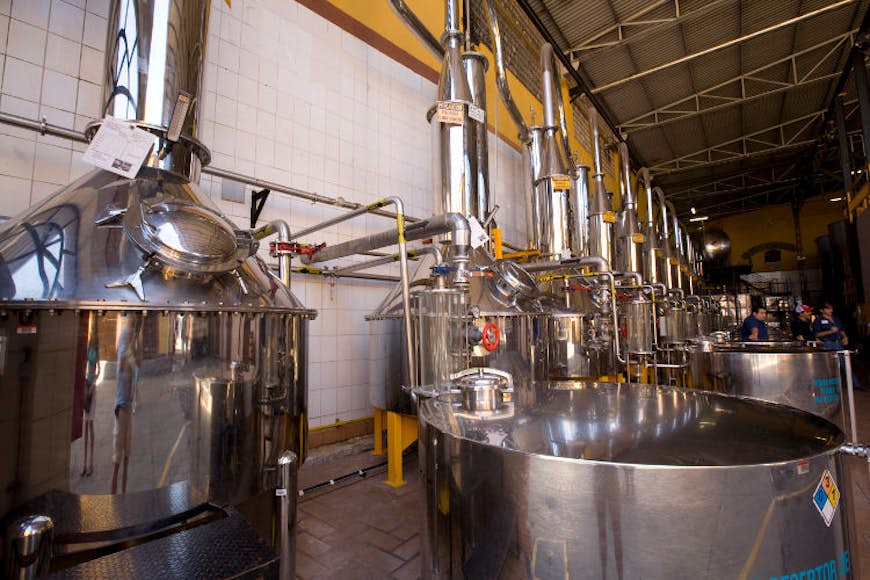 Tequila distilleries in the drink's home state of Jalisco churn out gallons of the stuff each month. Image by  Alan Marsh / First Light / Getty Images
