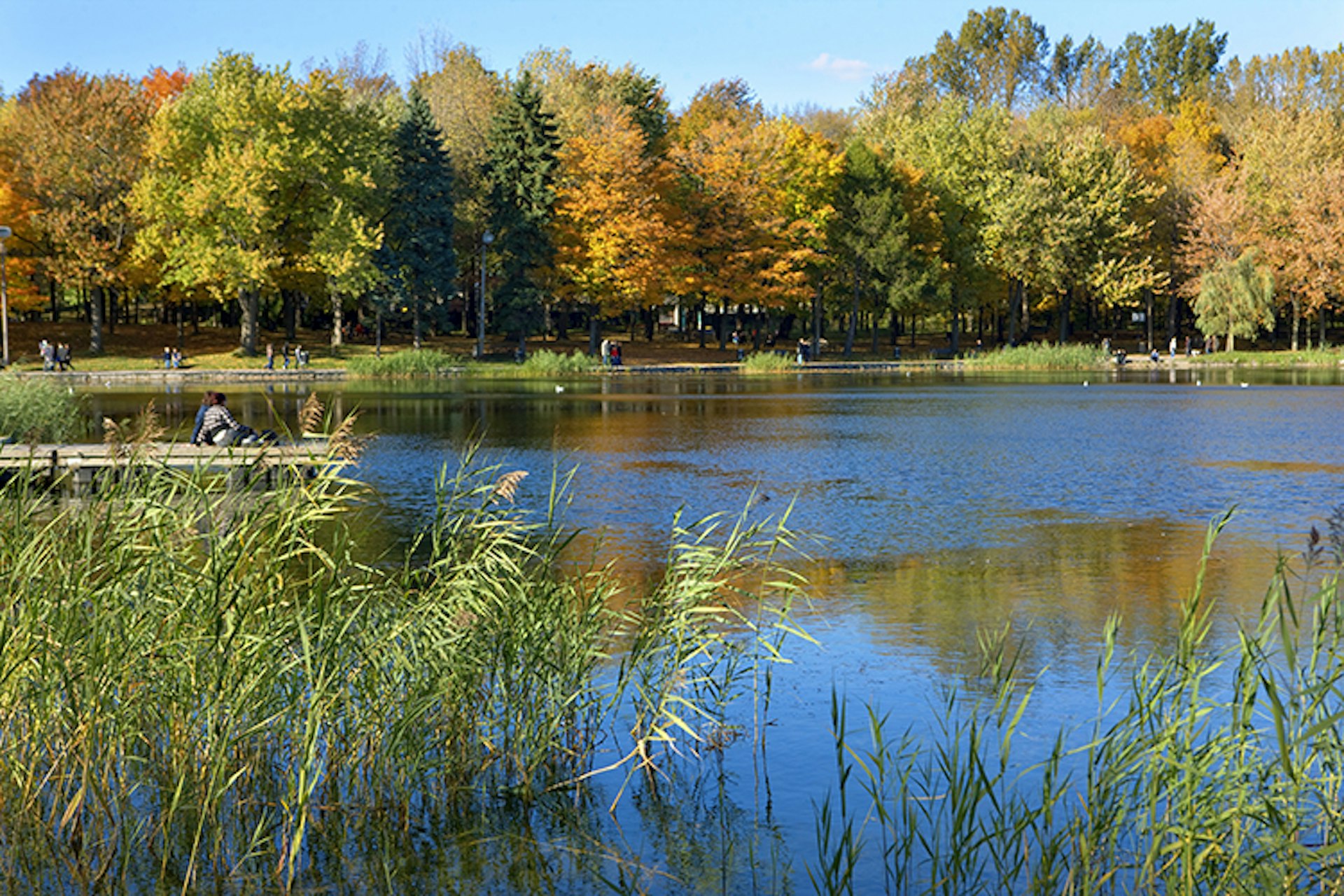 Lac des Castors in Parc du Mont Royal. Image by Jean-Pierre Lescourret / Lonely Planet Images / Getty