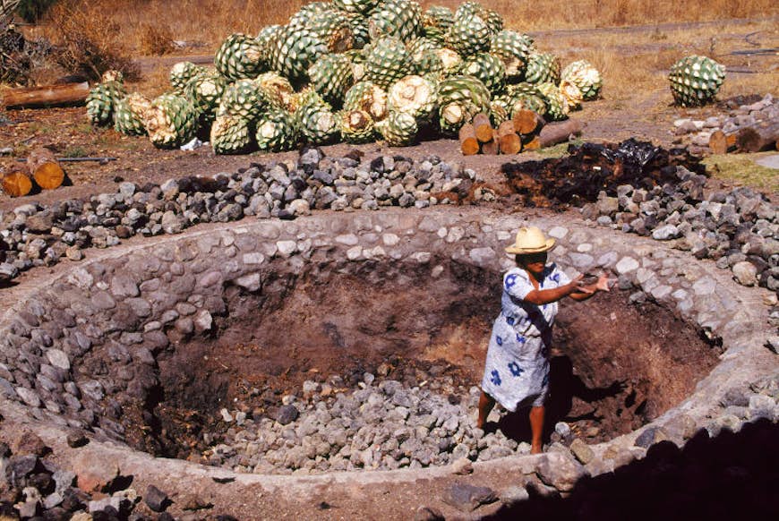 To make mezcal the agave plant is buried in embers and slow cooked. Image by Travel Ink / Getty Images