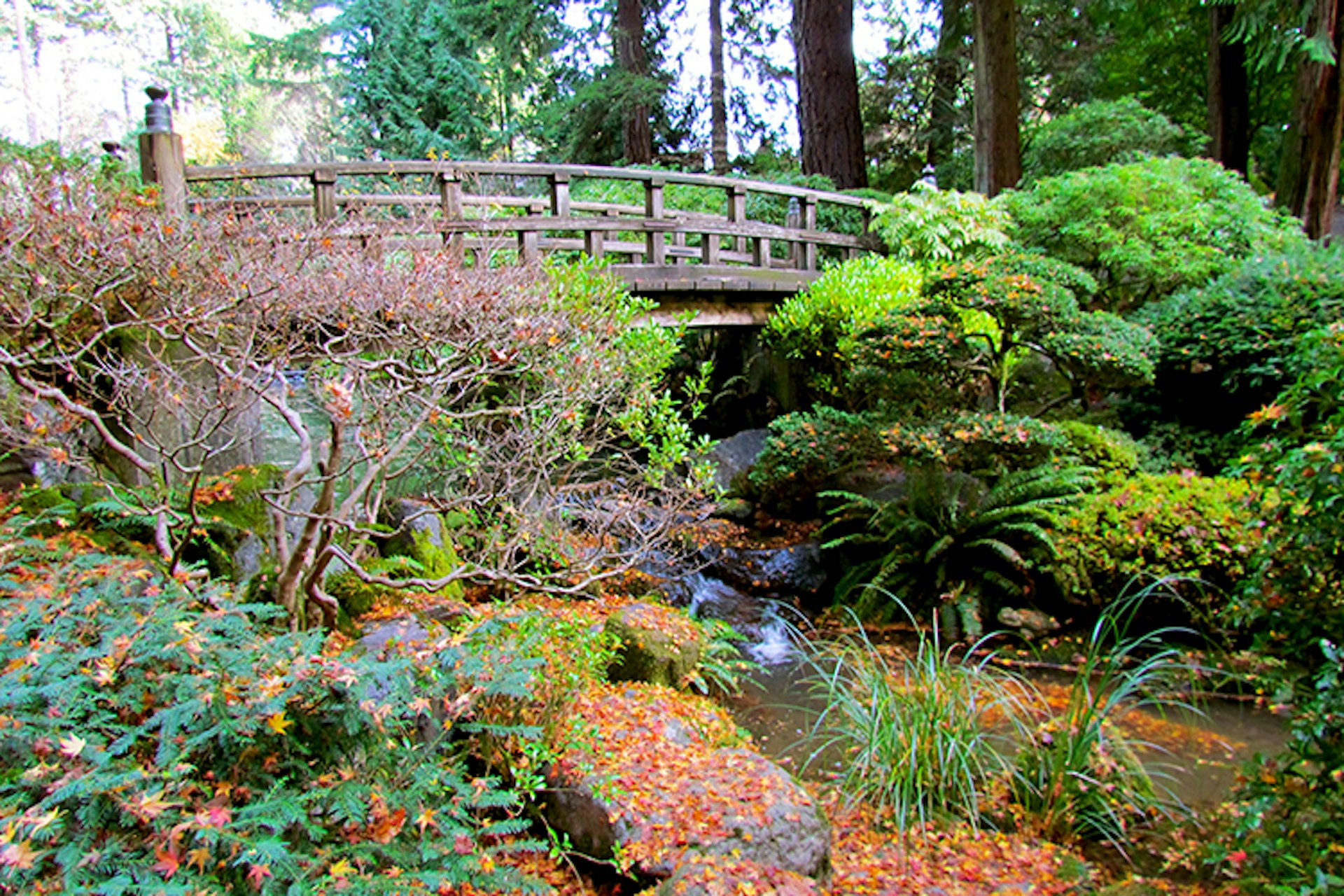 The Japanese Garden is 5.5 acres of pure serenity. Image by Jeff Gunn / CC BY 2.0 