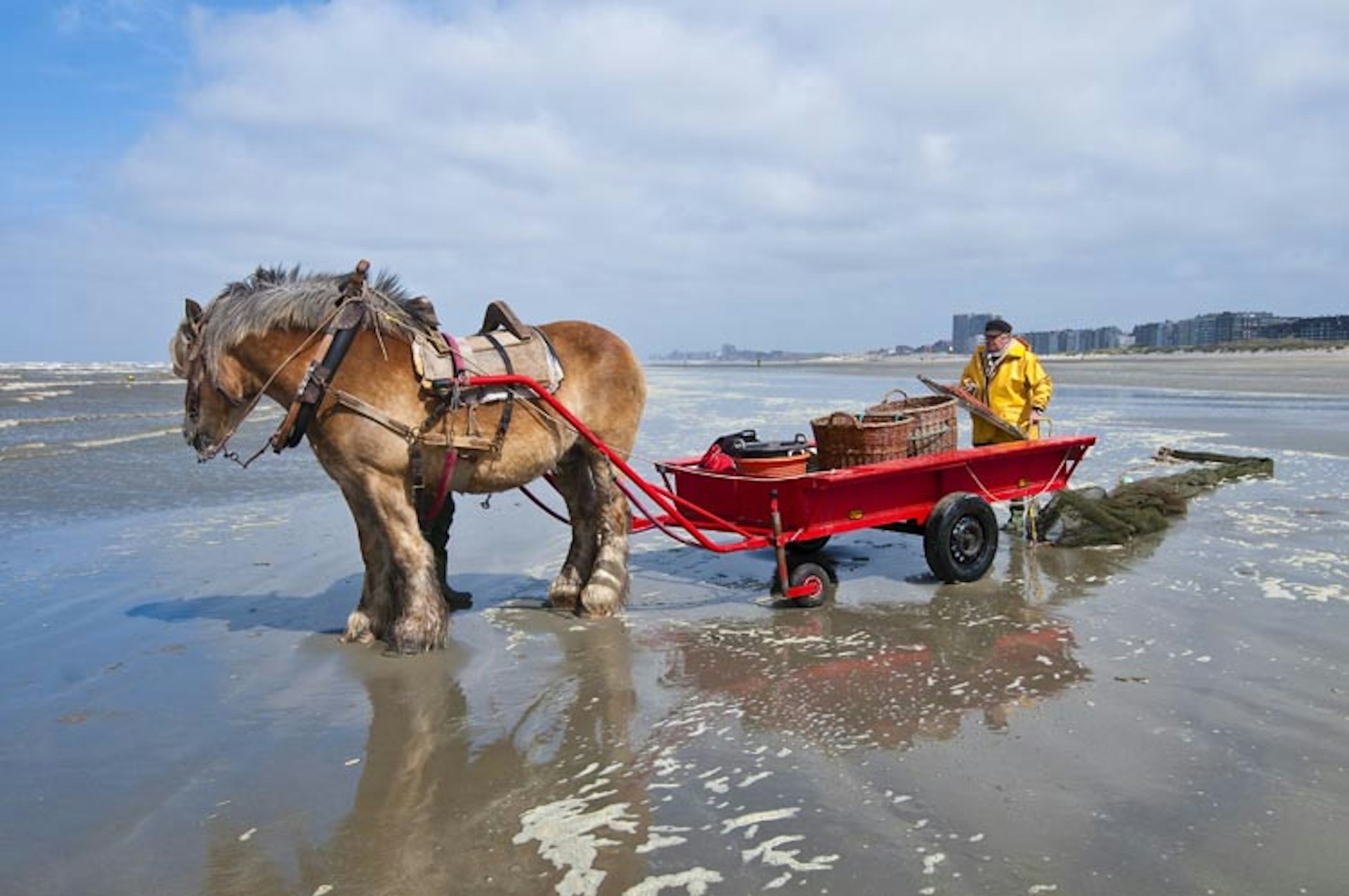 A shrimp fisherman and his plough horse in Oostduinkerke, Belgium. Image by Emilie Chaix / Getty Images