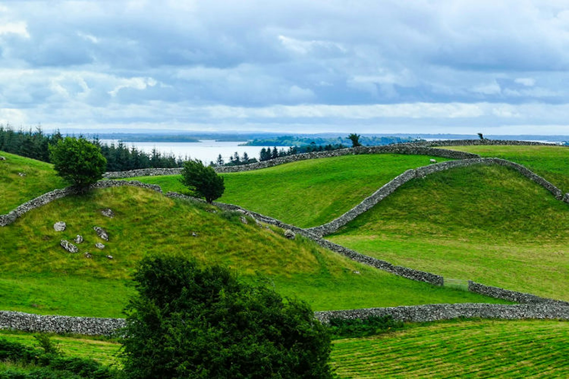 Grass and sky, Connemara. Image by Fred / CC BY 2.0