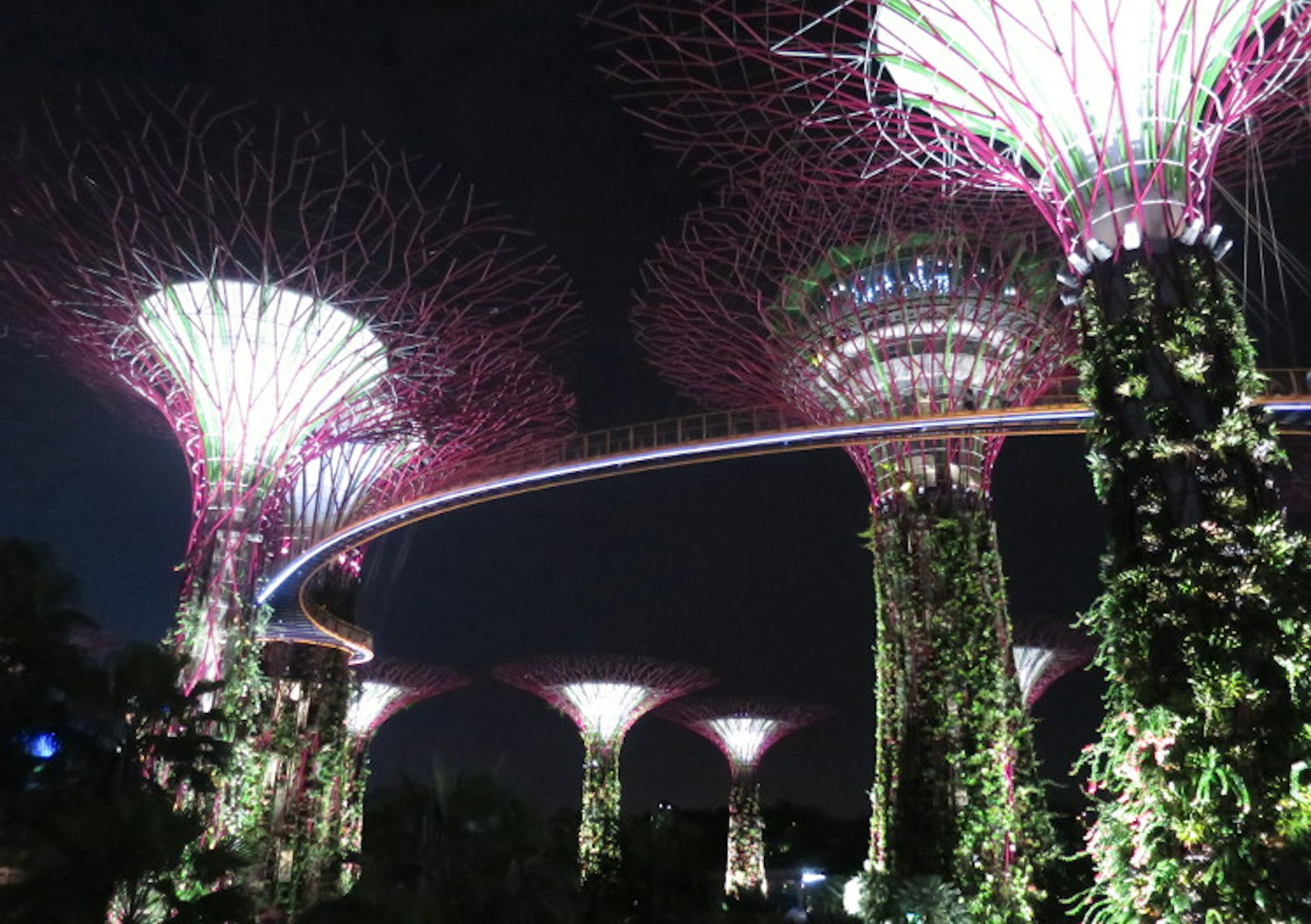 Gardens by the Bay, Singapore. Image by Sarah Reid