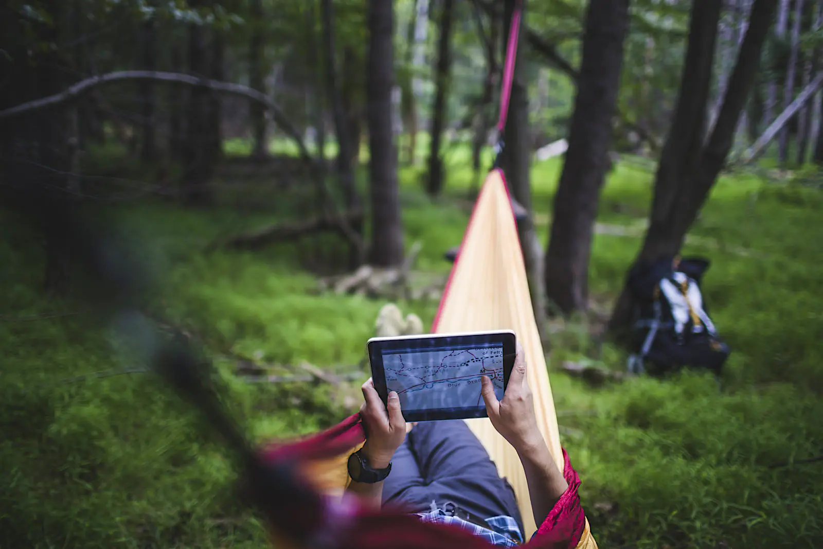 Features - Hiker lying in hammock in forest looking at map on digital tablet Modern gadgets switch voltage automatically, so no need for bulky chargers © Chad Springer / Getty Images