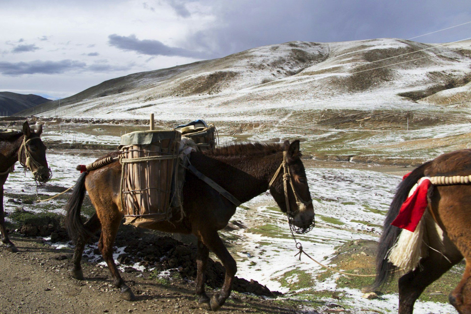 Horse trekking in Seda. Image by Tienlon Ho / Lonely Planet