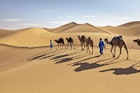 Features - Morocco, Erg Chigaga sand dunes, camel caravan