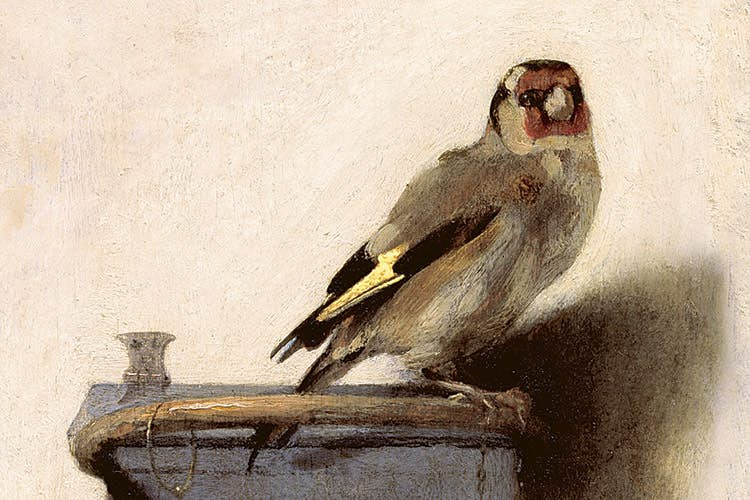 the goldfinch pulitzer prize