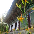 Flowers blooming at Magok-sa Temple. Image by Megan Eaves / Lonely Planet