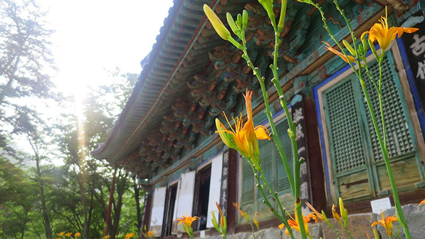 Flowers blooming at Magok-sa Temple. Image by Megan Eaves / Lonely Planet