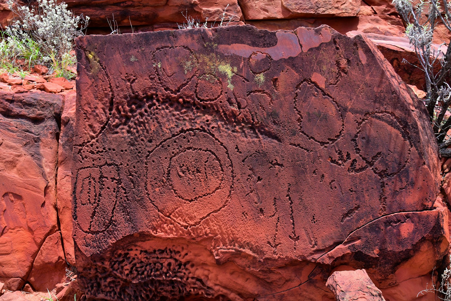 rock art Australia 