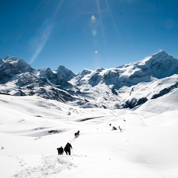 Approaching the Thorung La in snow. Image by vetlesk / CC BY-SA 2.0.