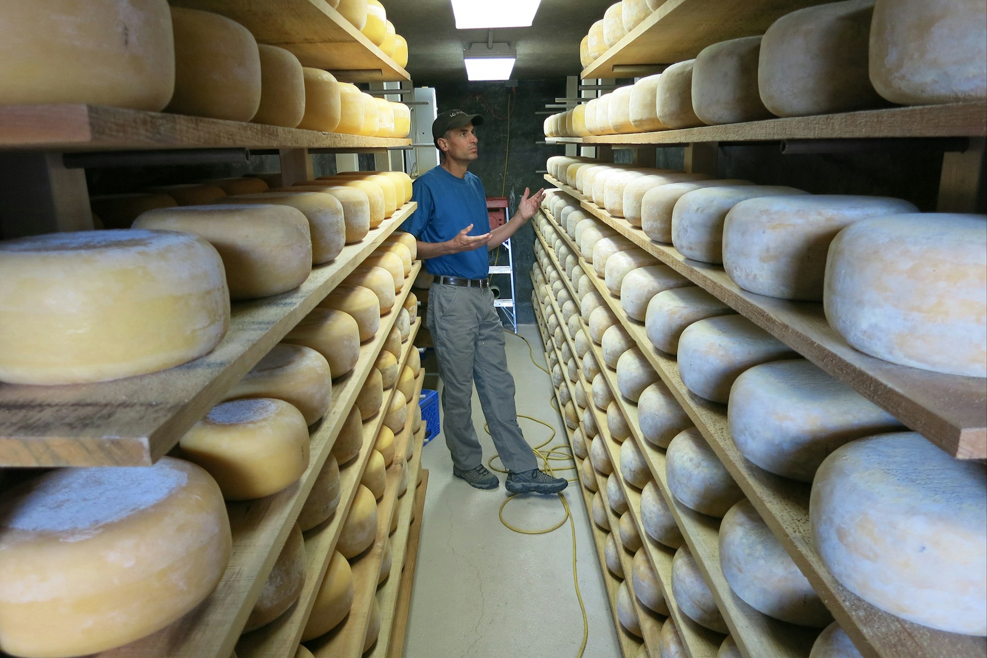Cheese drying at James Ranch. Image by Leif Pettersen / Lonely Planet