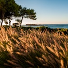 Southwest Alentejo and Vicentine Coast Natural Park. Image by Lola Akinmade Åkerström / Lonely Planet