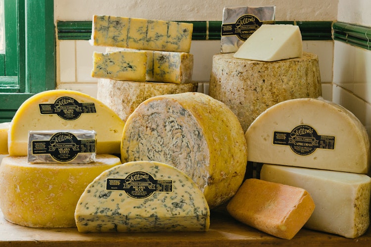 Cheese selections from northeast Victoria. Image courtesy of Milawa Cheese Company.