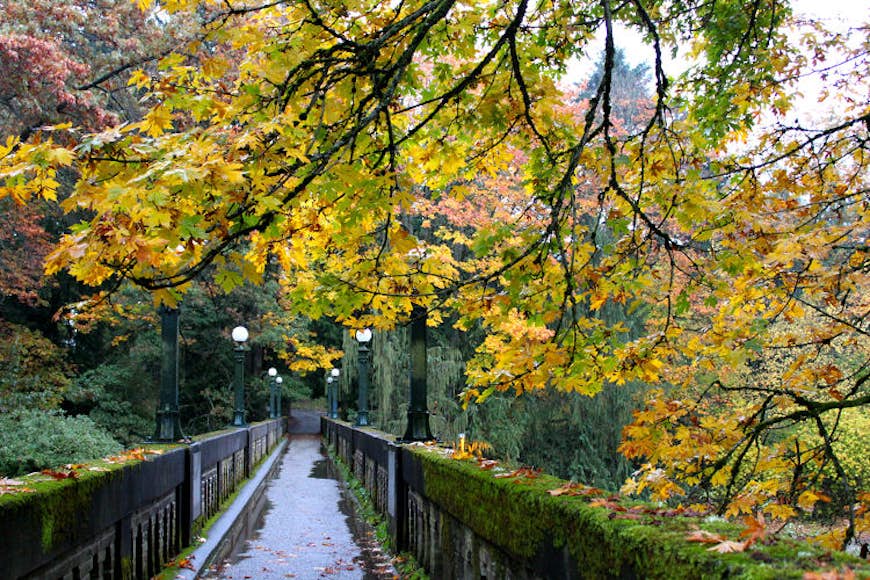 Autumn colors in the Washington Park Arboretum. Image by Oran Viriyincy / CC BY-SA 2.0