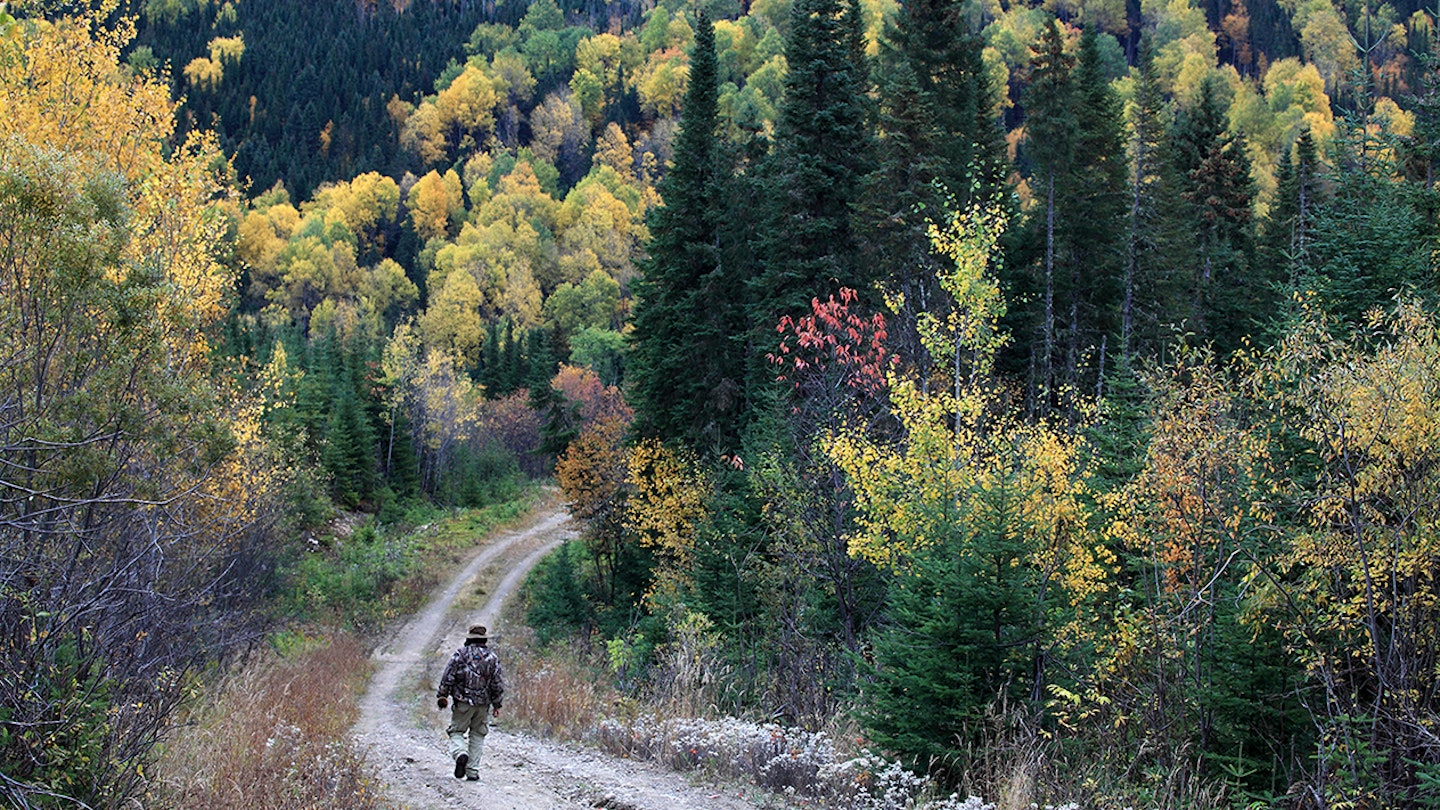 A hiker walks through Forêt Montmorency. Image by Bruce Yuanyue Bi / Lonely Planet Images / Getty