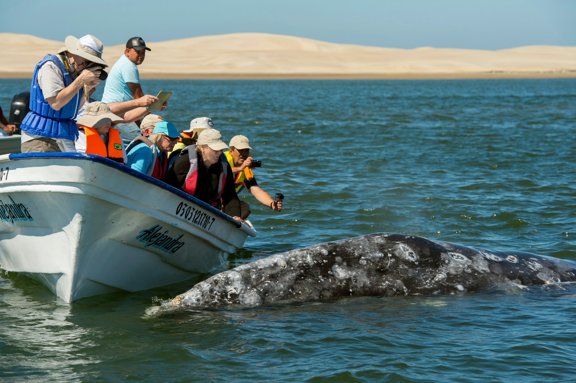 Getting up close to whales is one alternative to lazing on a beach in Baja California. Photo by Wolfgang Kaehler / LightRocket / Getty Images