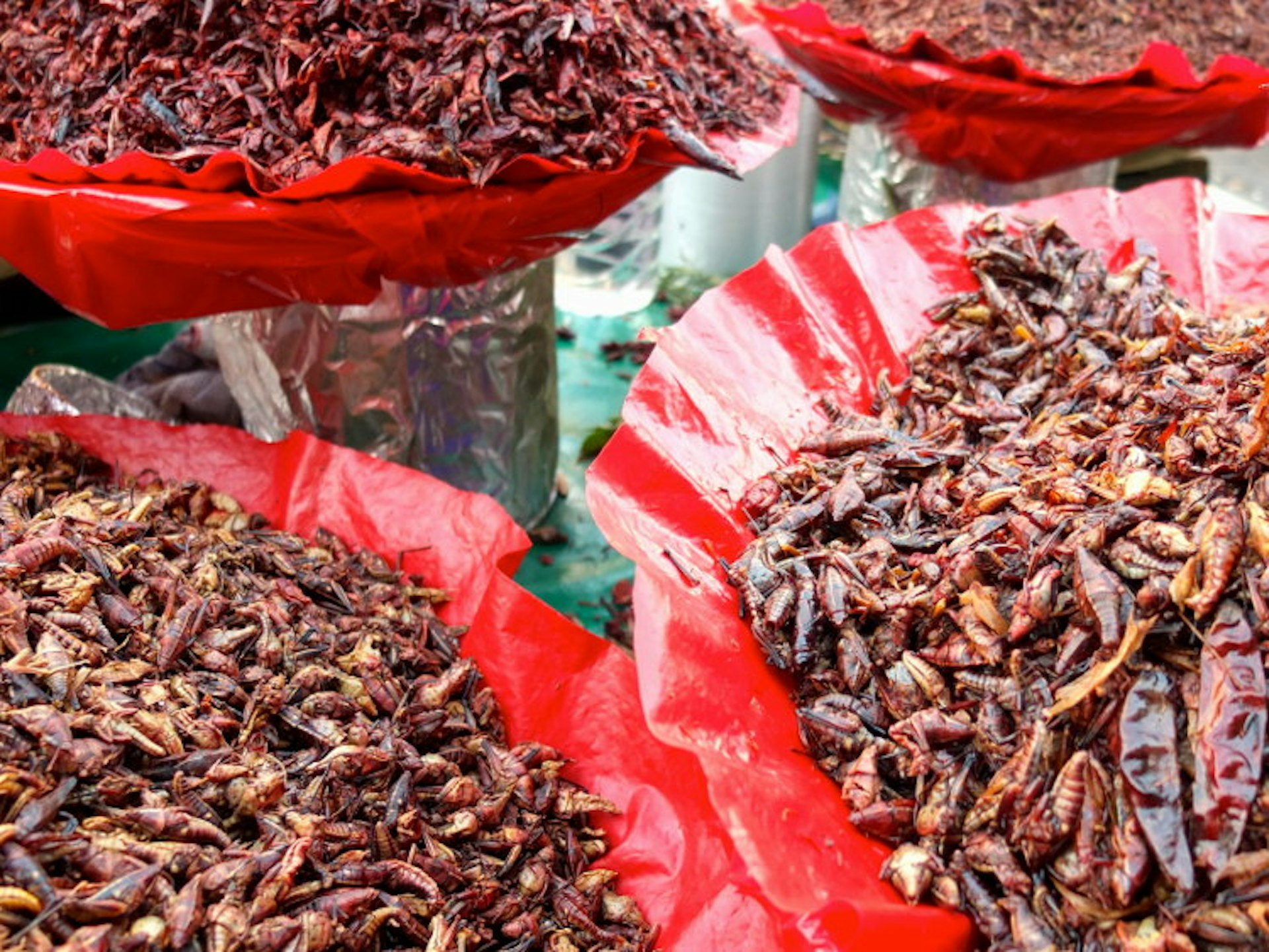 Grasshoppers have been popular in Mexico since before Europeans arrived. Image by Sarah Gilbert / Lonely Planet