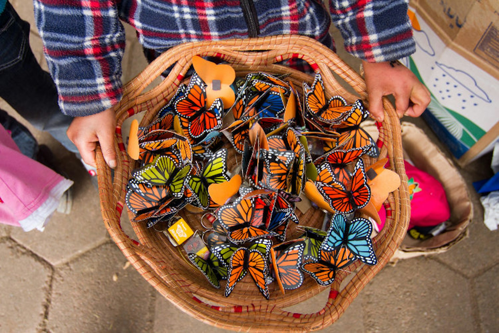 Butterfly related tourism has brought positive benefits to these forests, including more money into the hands of locals who are benefiting either through the hotel and restaurant industry, working as guides or rangers or through the sale of butterfly related paraphernalia such as these butterfly design fridge magnets. Image by Stuart Butler / Lonely Planet