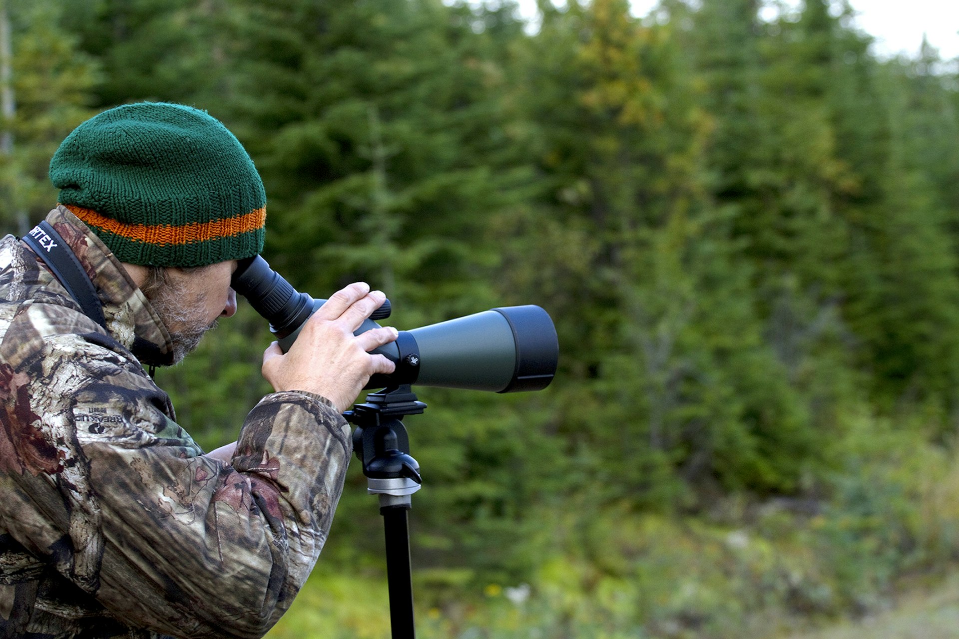 Pierre Vaillancourt on the lookout for moose in the Forêt Montmorency. Image by Kerry Christiani / Lonely Planet