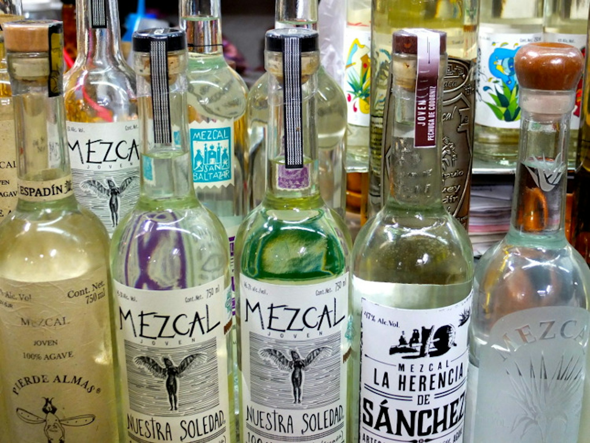 Mezcal is the traditional drink of Oaxaca. Image by Sarah Gilbert / Lonely Planet