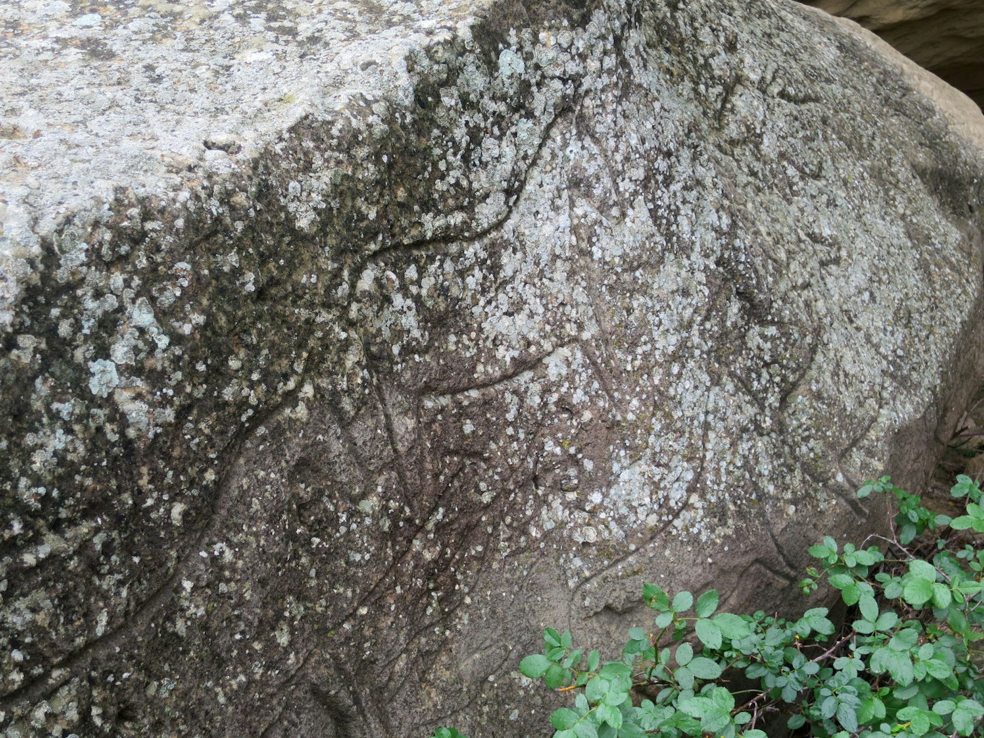 Petroglyphs, Qobustan, Azerbaijan. Image by Sarah Reid / Lonely Planet